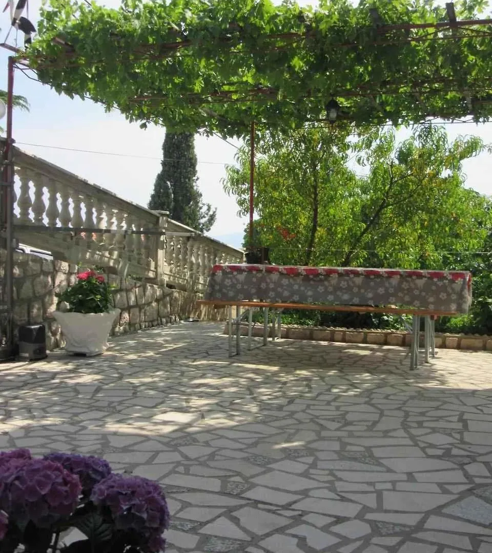 Apartments In Novi Vinodolski 39135
